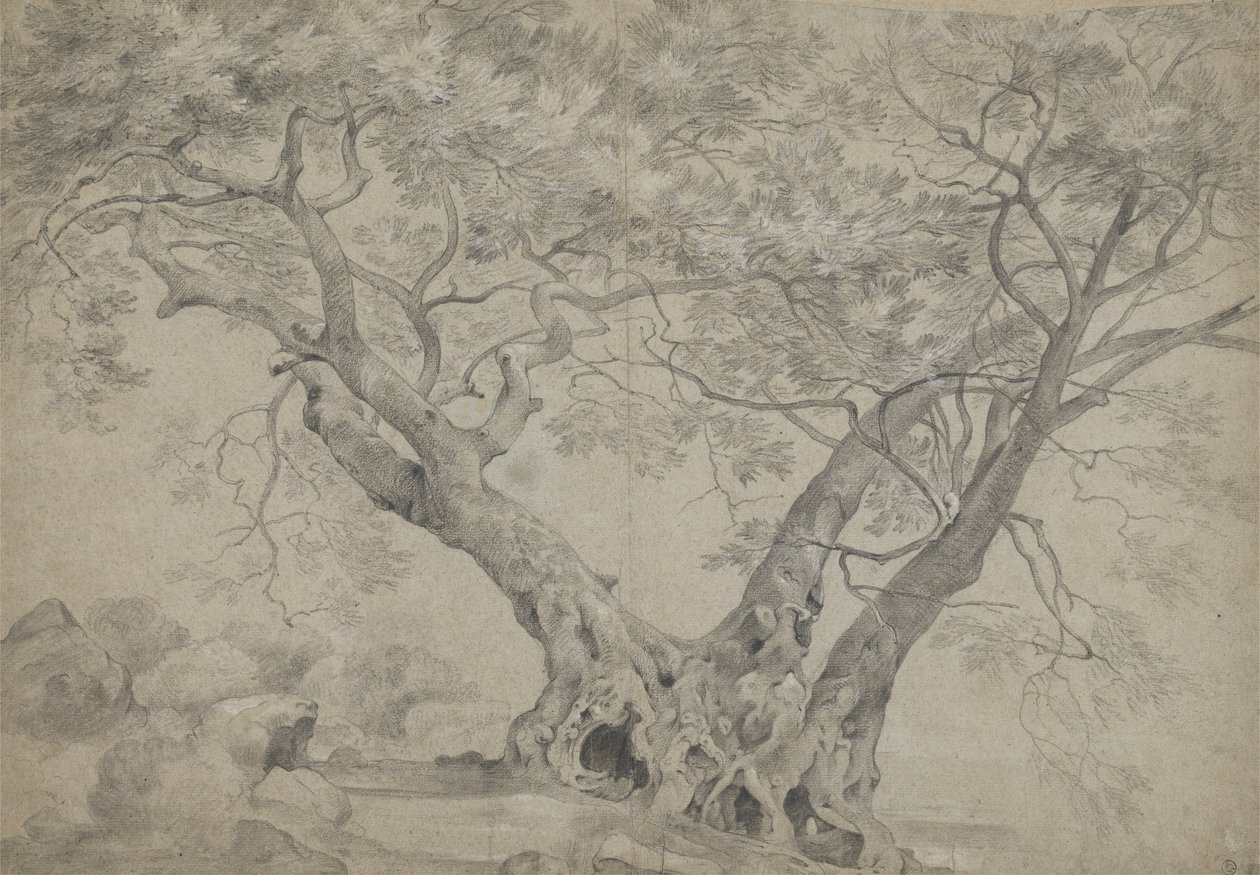 Arbra Sacra på stranden av Lake Nemi, ca 1754-56 (svartvit krita på papper) av Richard Wilson