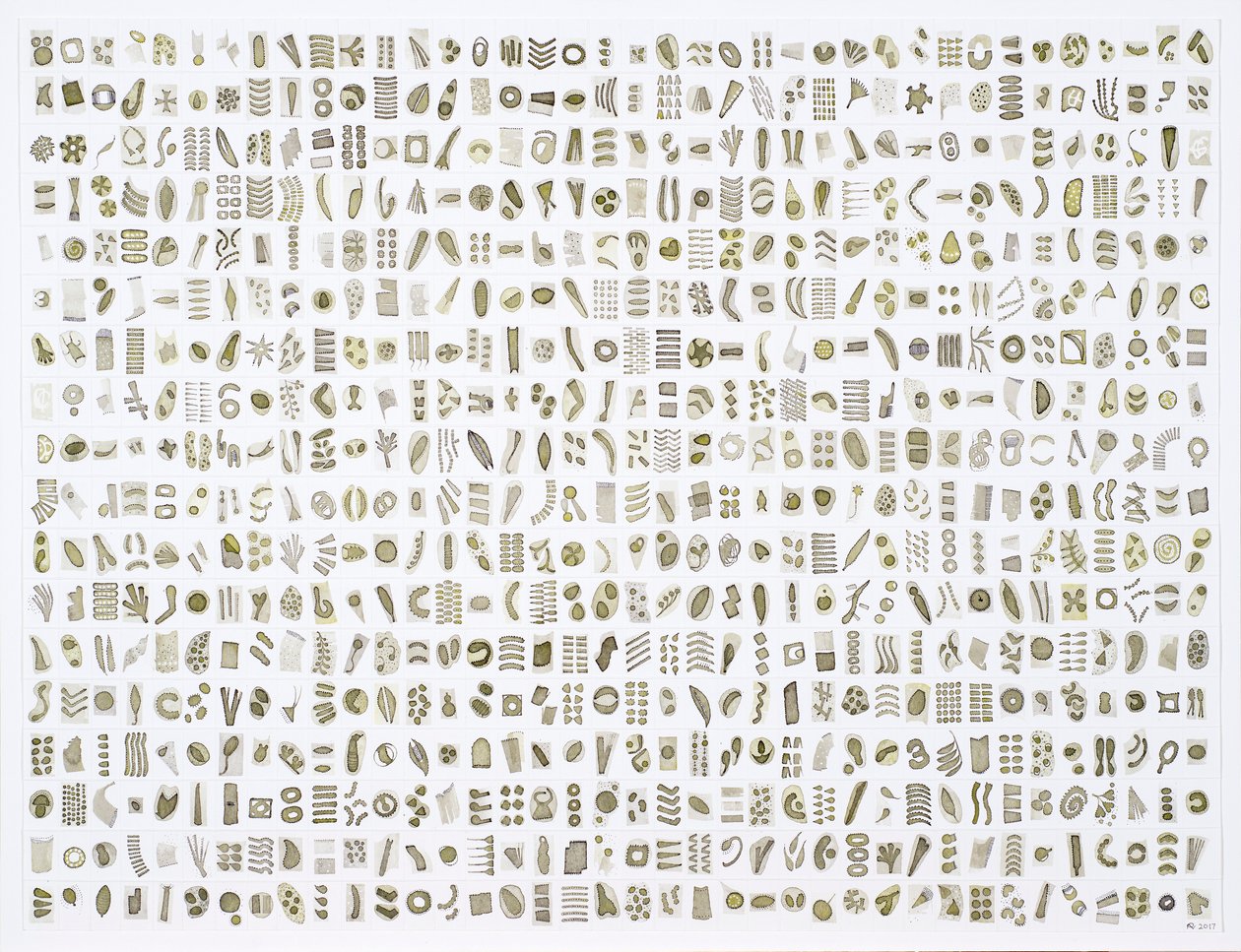 Micrarium No.10 , 2017 (tusch på papper) av Rika Newcombe