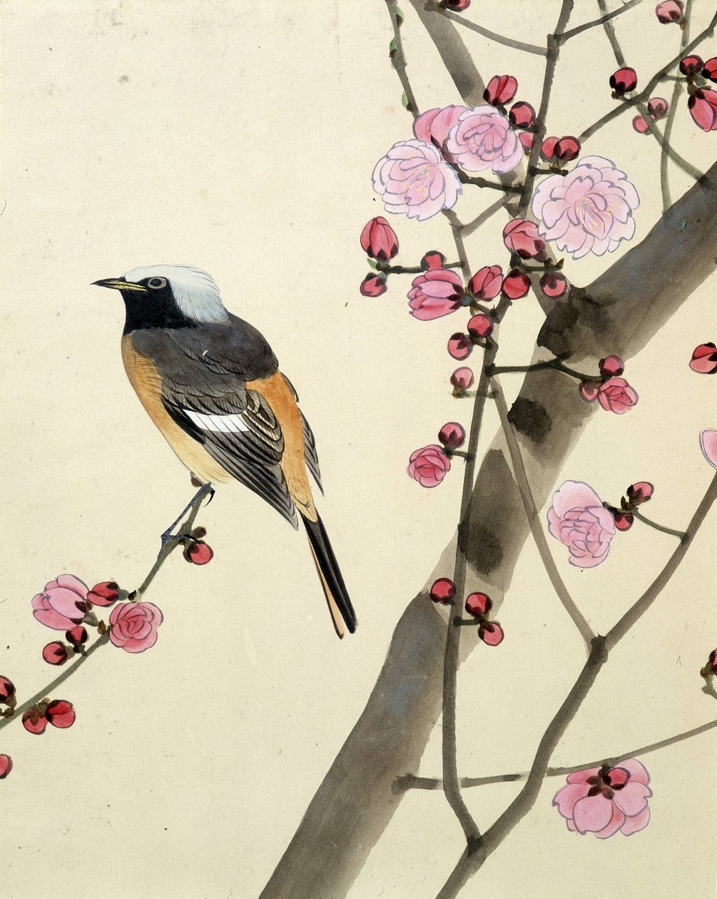 Fågel - japansk teckning av Riou Chim, sent 1800-tal av Riu Chim