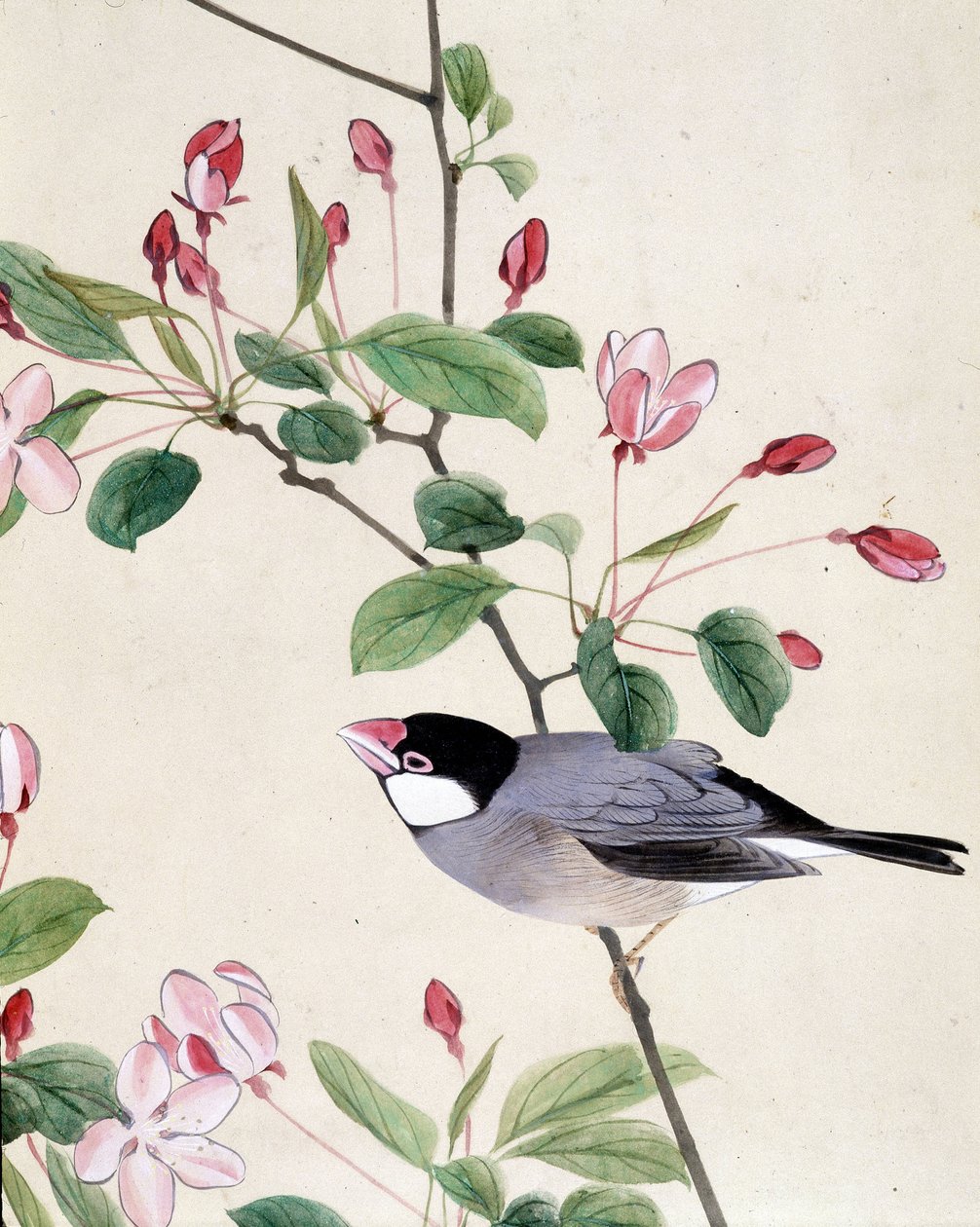 Fågel - japansk teckning av Riou Chim, sent 1800-tal av Riu Chim