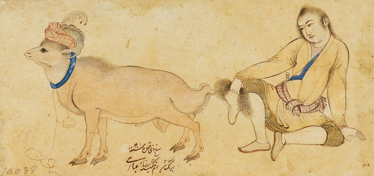 Studie av en ung man och en bagge, 1630-31 eller senare av Riza i Abbasi