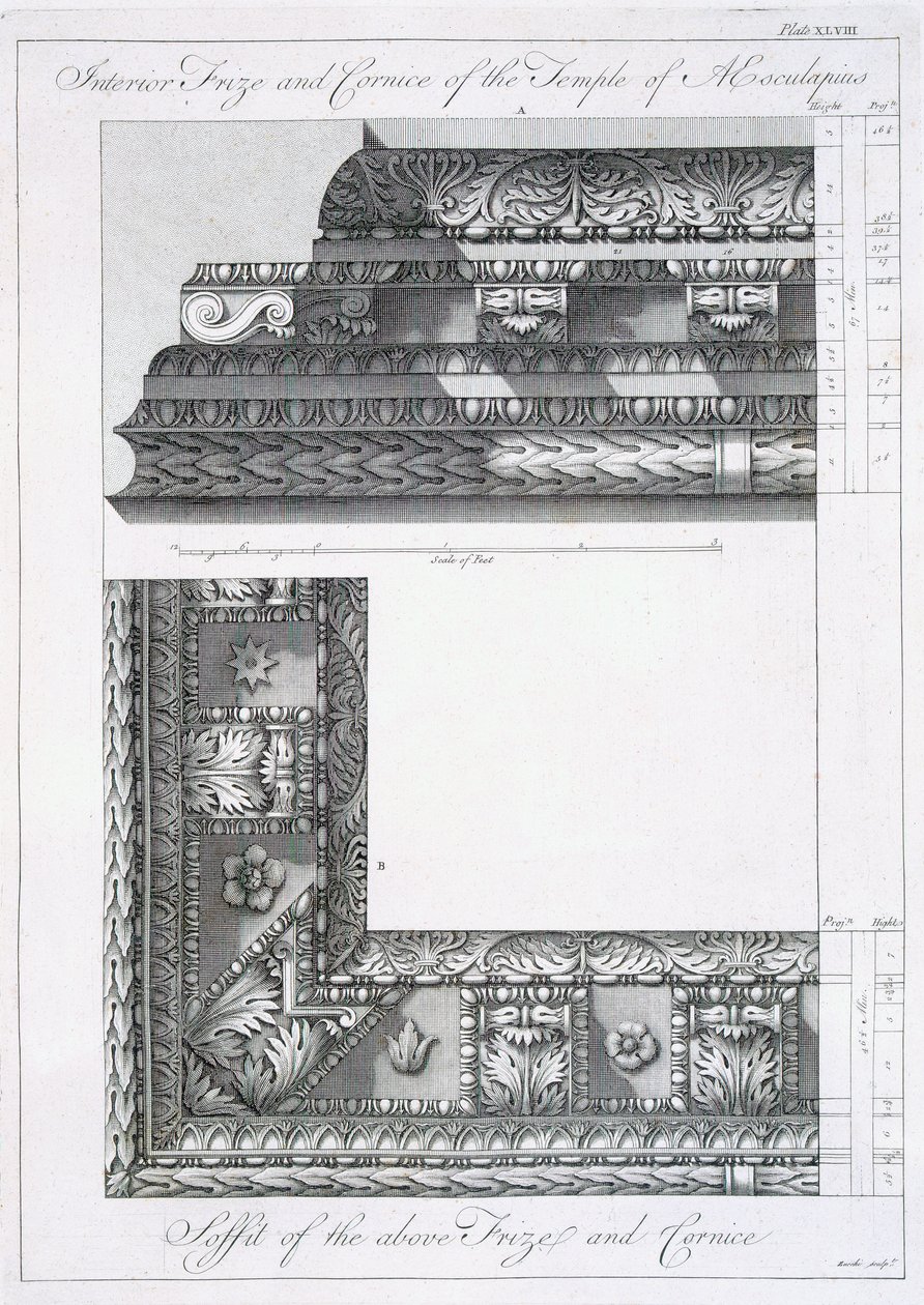 Interiörfris och gesims av Aesculapius-templet, från "Ruinerna av kejsar Diocletianus palats vid Spalatro i Dalmatien", publicerad 1764 av Robert Adam