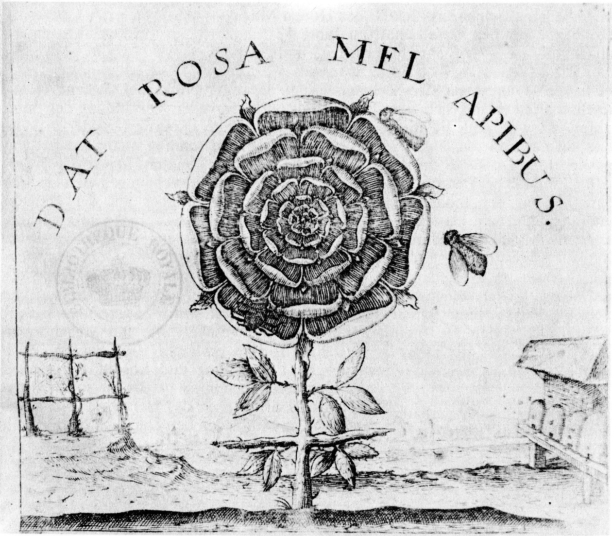 sida av Supreme Good av Robert Fludd