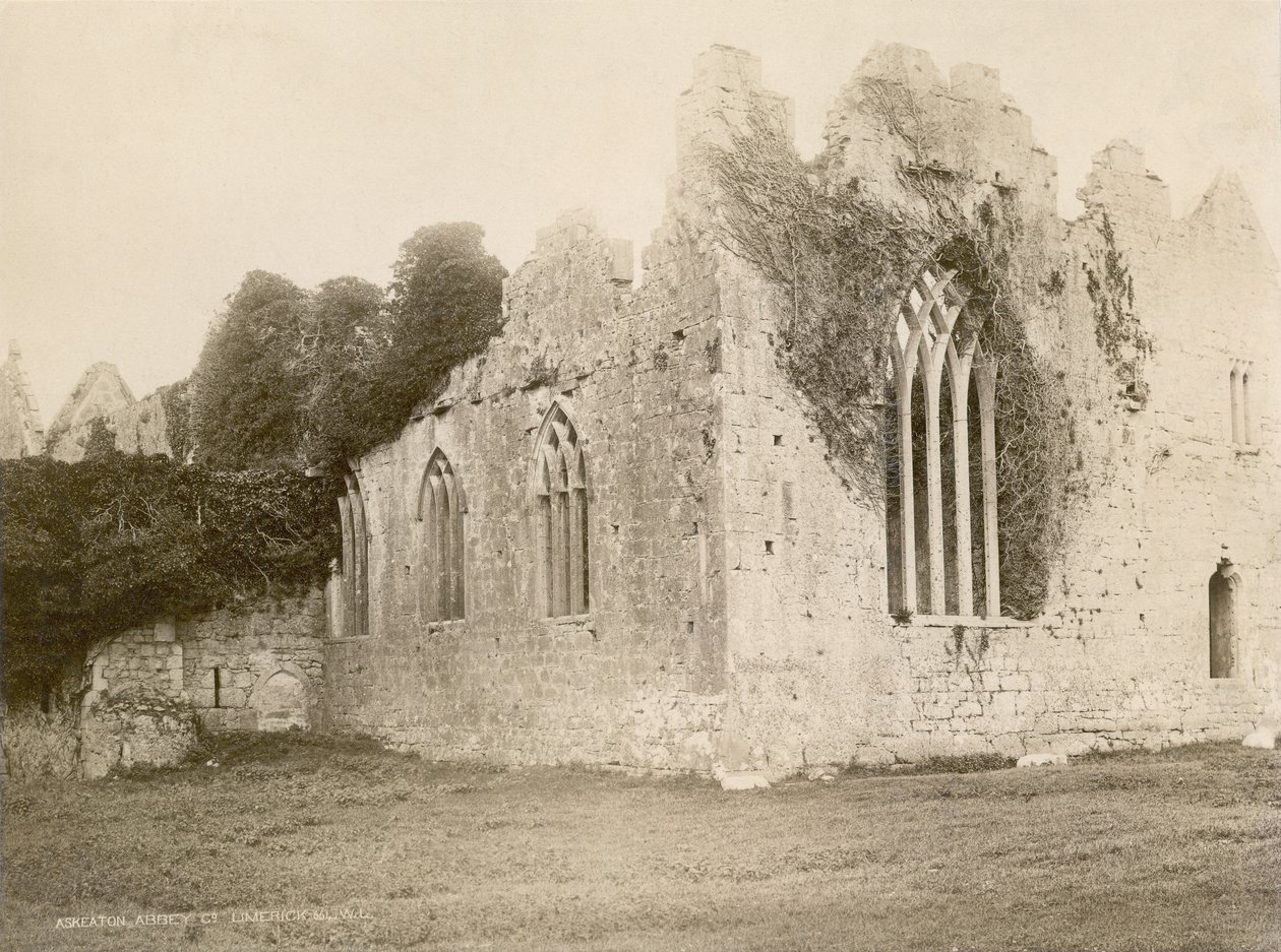 Askeaton Abbey (sepiafoto) av Robert French