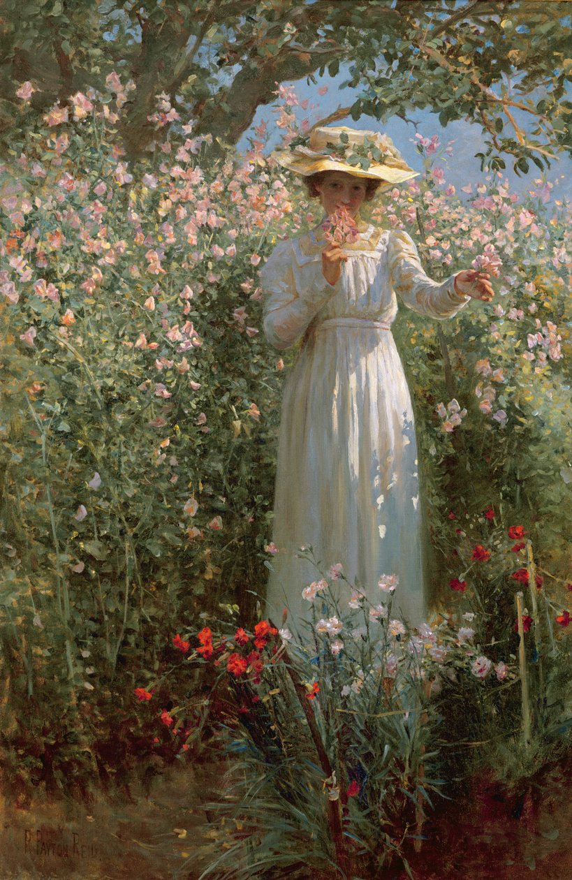 Bland blommorna av Robert Payton Reid