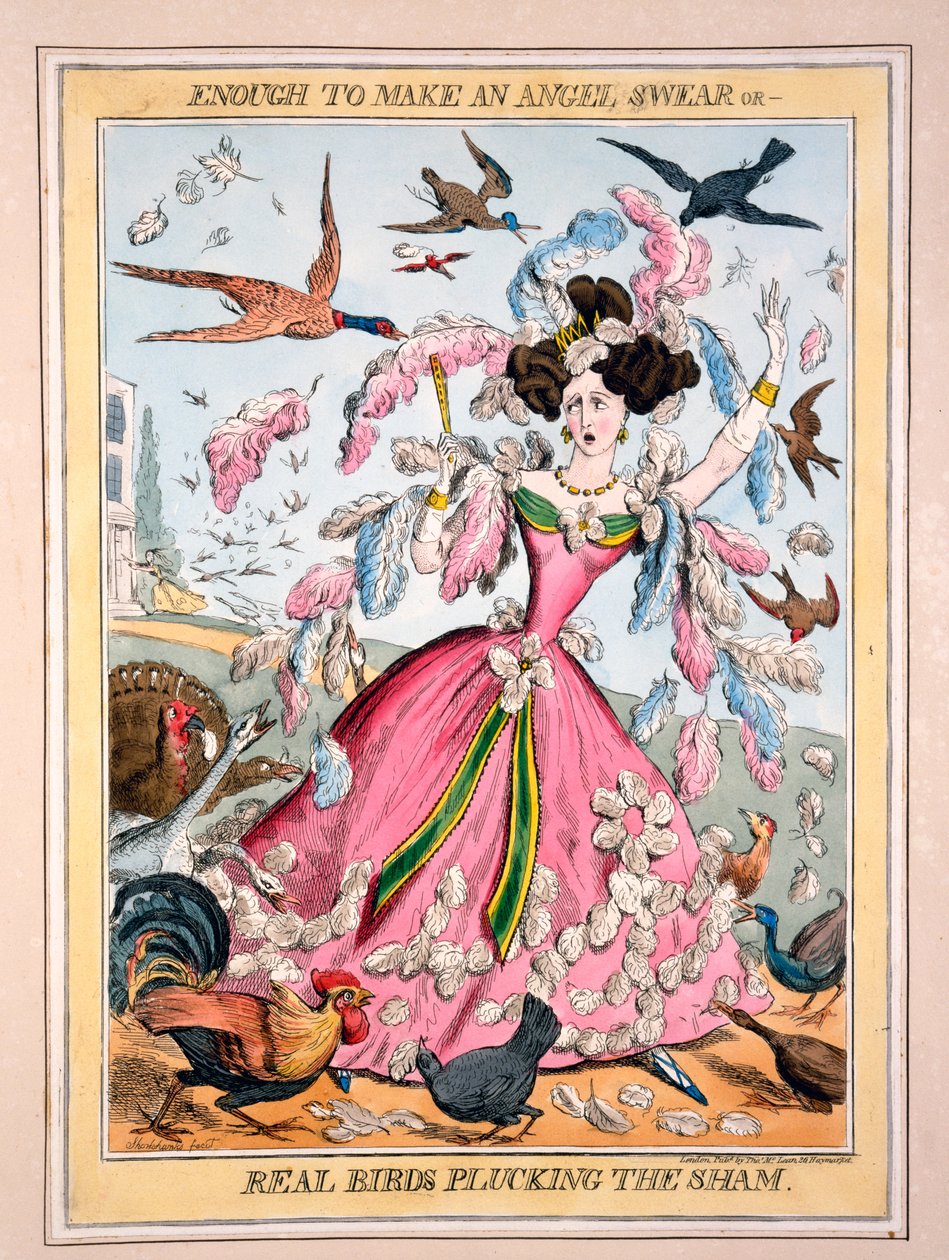 Tillräckligt för att få en ängel att svära, eller Äkta fåglar som plockar skammen, ca 1830 (handkolorerat gravyr) av Robert Seymour