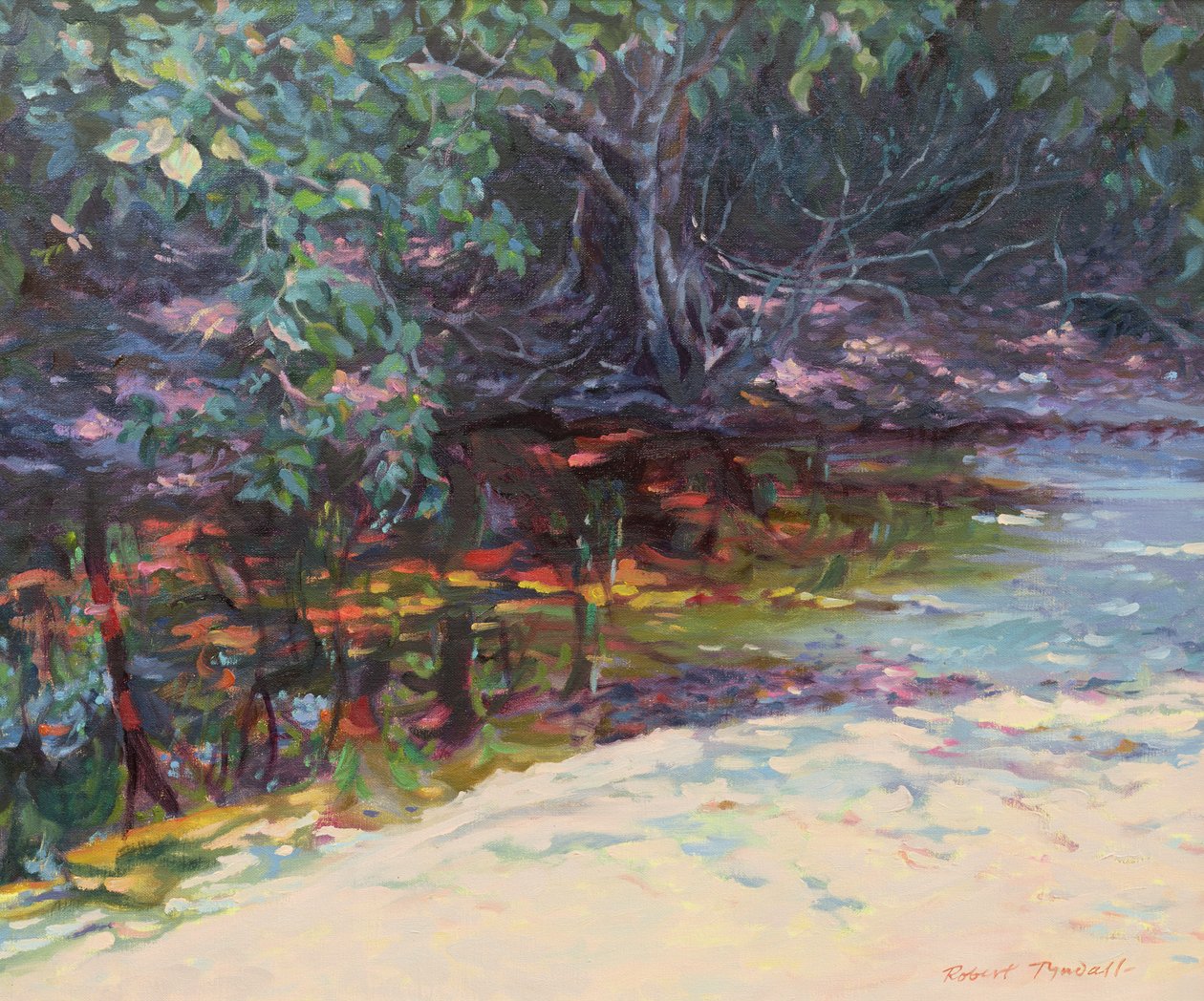 Strand och regnskog, Cape Tribulation, norra Queensland, Australien av Robert Tyndall