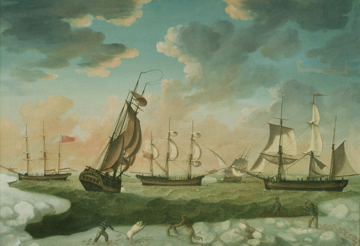 Arktisk scen av Robert Willoughby