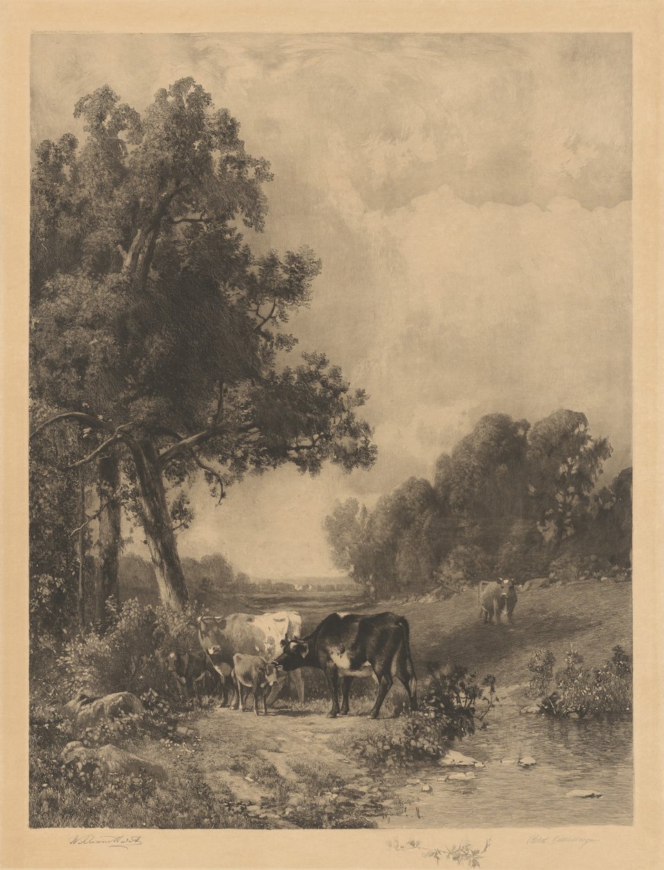 Utan titel (Cows And Calves By A Stream) av Robert A. Eichelberger