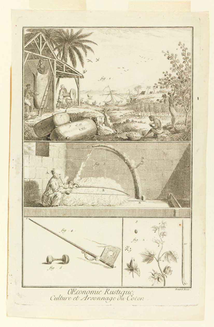 "Cultivation et Arsonnage du Coton" från Diderot