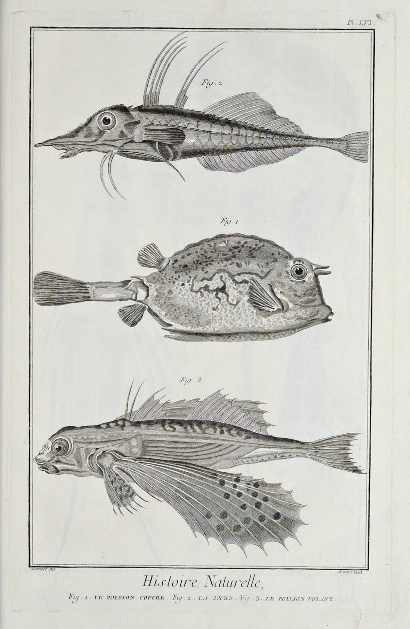 Illustration från 