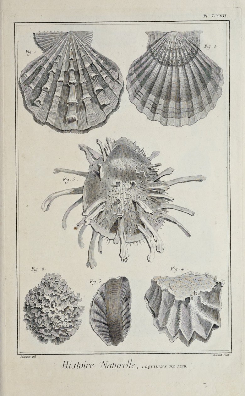 Illustration från 
