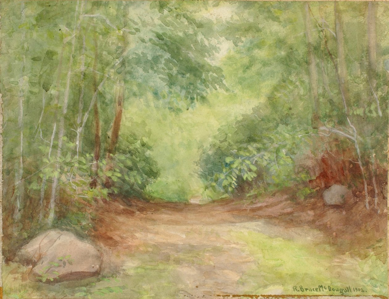 Utan titel (skogsscen) av Robert Bruce McDougall