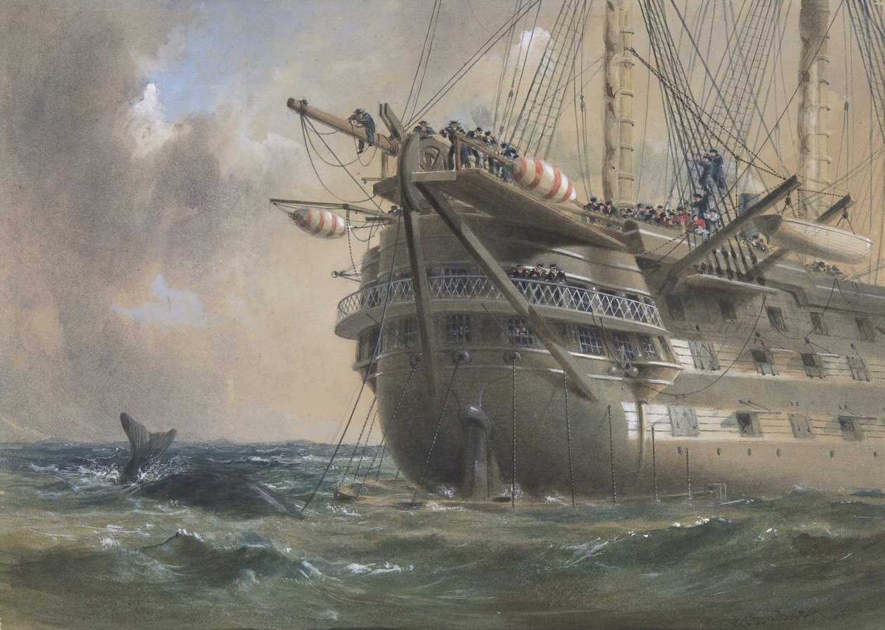 H.M.S. Agamemnon lägger den atlantiska telegrafkabeln 1858: a Whale Crosses the Line, 1865-66. av Robert Charles Dudley