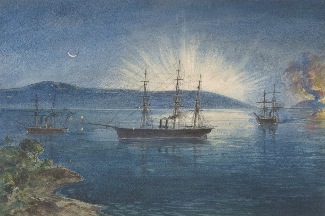 The Bay of Bull Arms, Trinity Bay, Newfoundland, brasor tända på kullarna för att meddela..., 1865-66 av Robert Charles Dudley