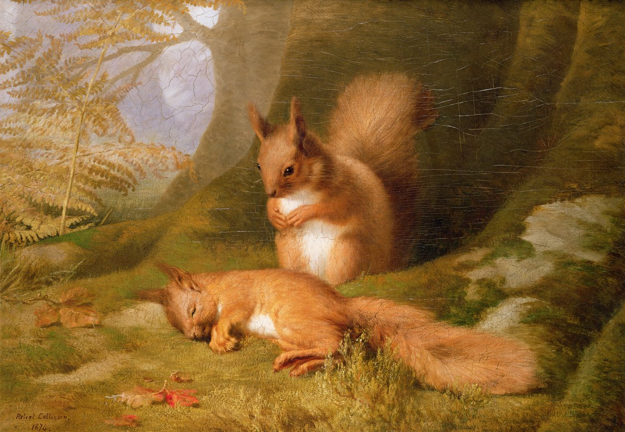 Ekorrar i skogen, 1874 av Robert Collinson