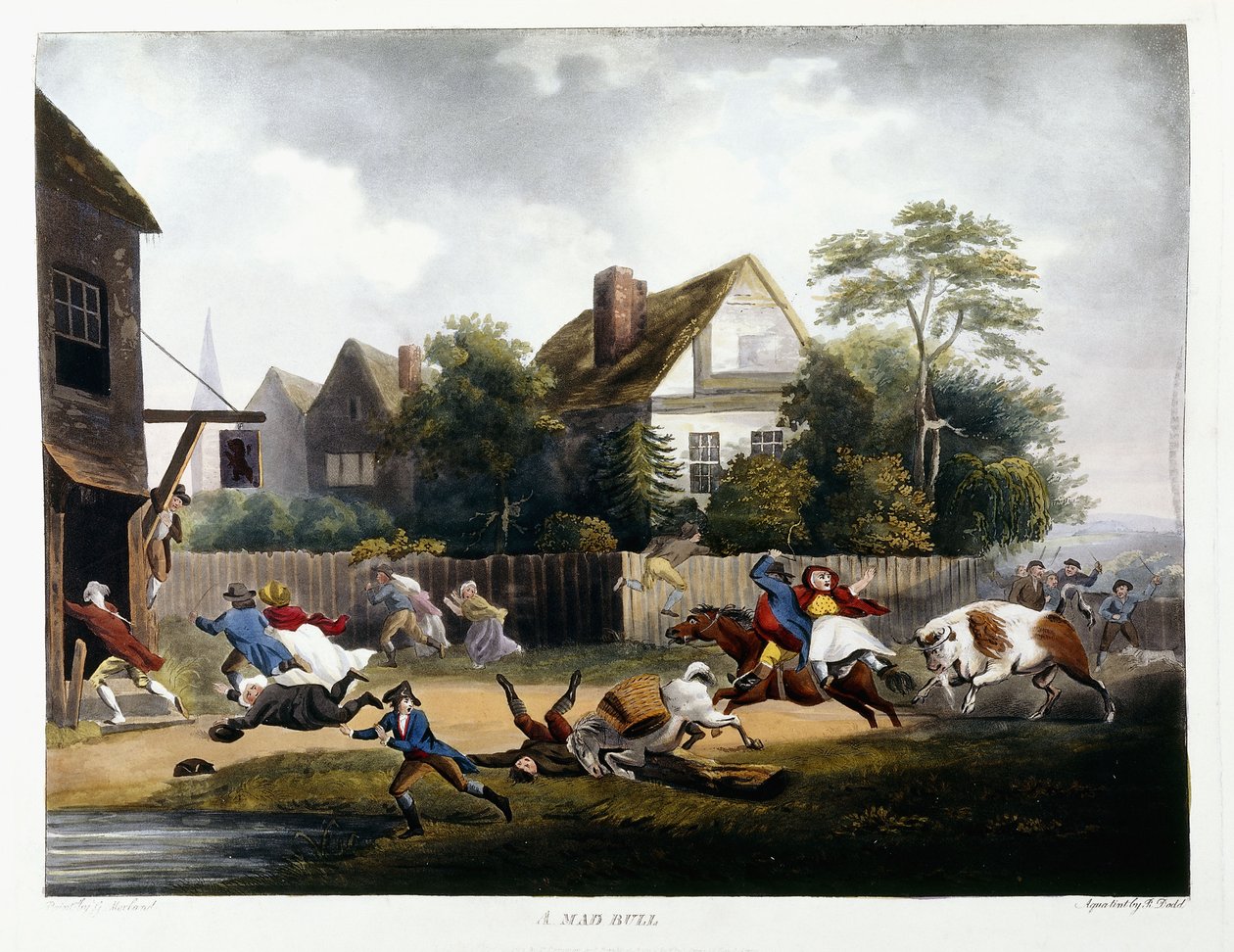 En galen tjur, 1806 av Robert Dodd