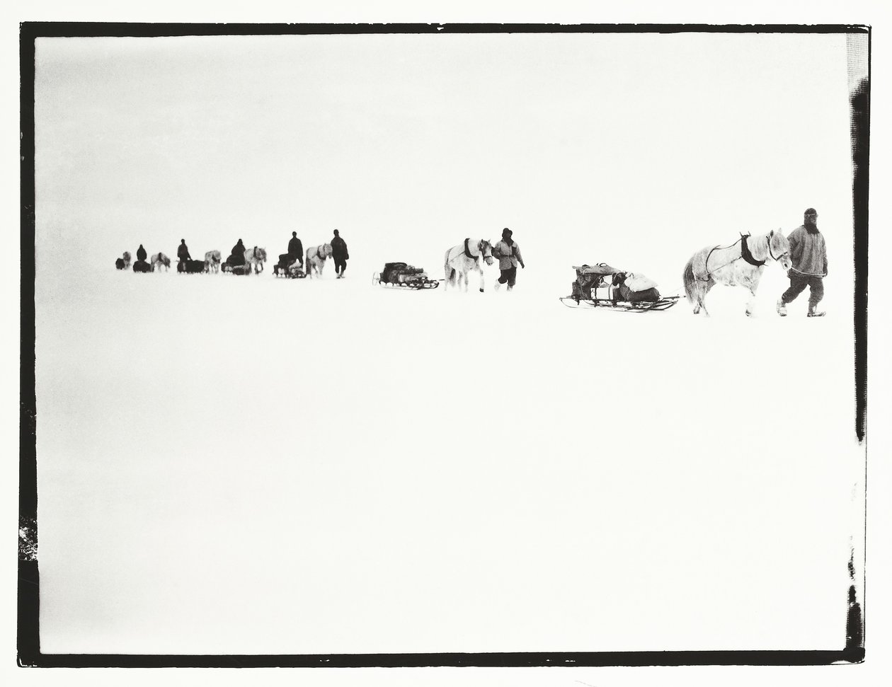 Ponnyer på marsch, Great Ice Barrier, 2 december av Robert Falcon Scott