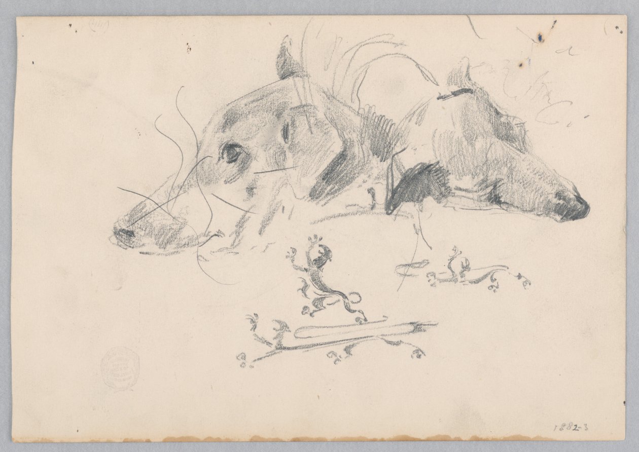 Hund och lejon av Robert Frederick Blum