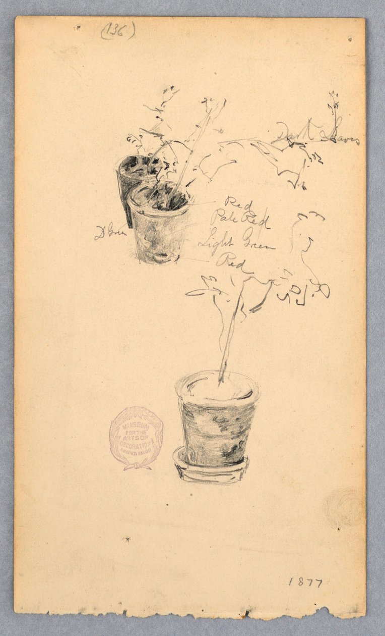 Teckning, Blomkrukor, 1877 av Robert Frederick Blum