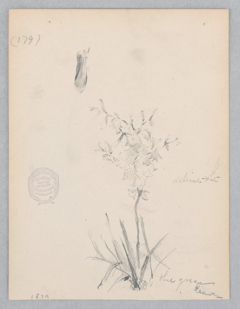Blommande växt av Robert Frederick Blum