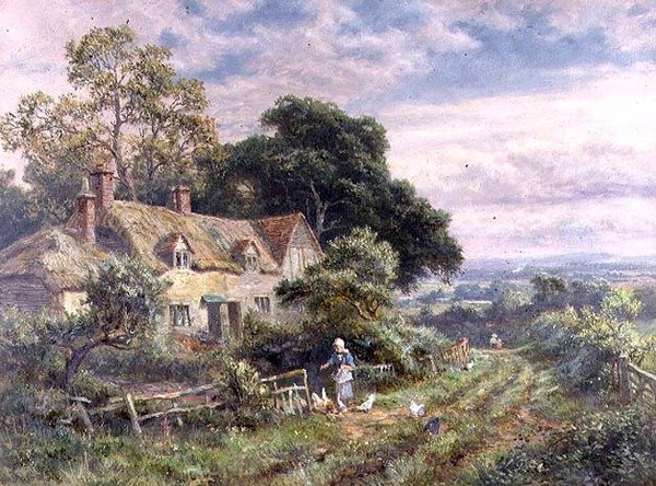 Mata kycklingarna av Robert Gallon