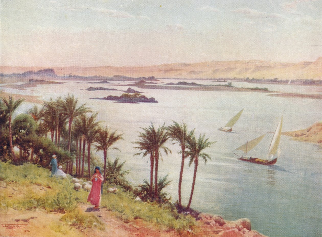 Första grå starr från Elephantine Island, c1880, 1904 av Robert George Talbot Kelly