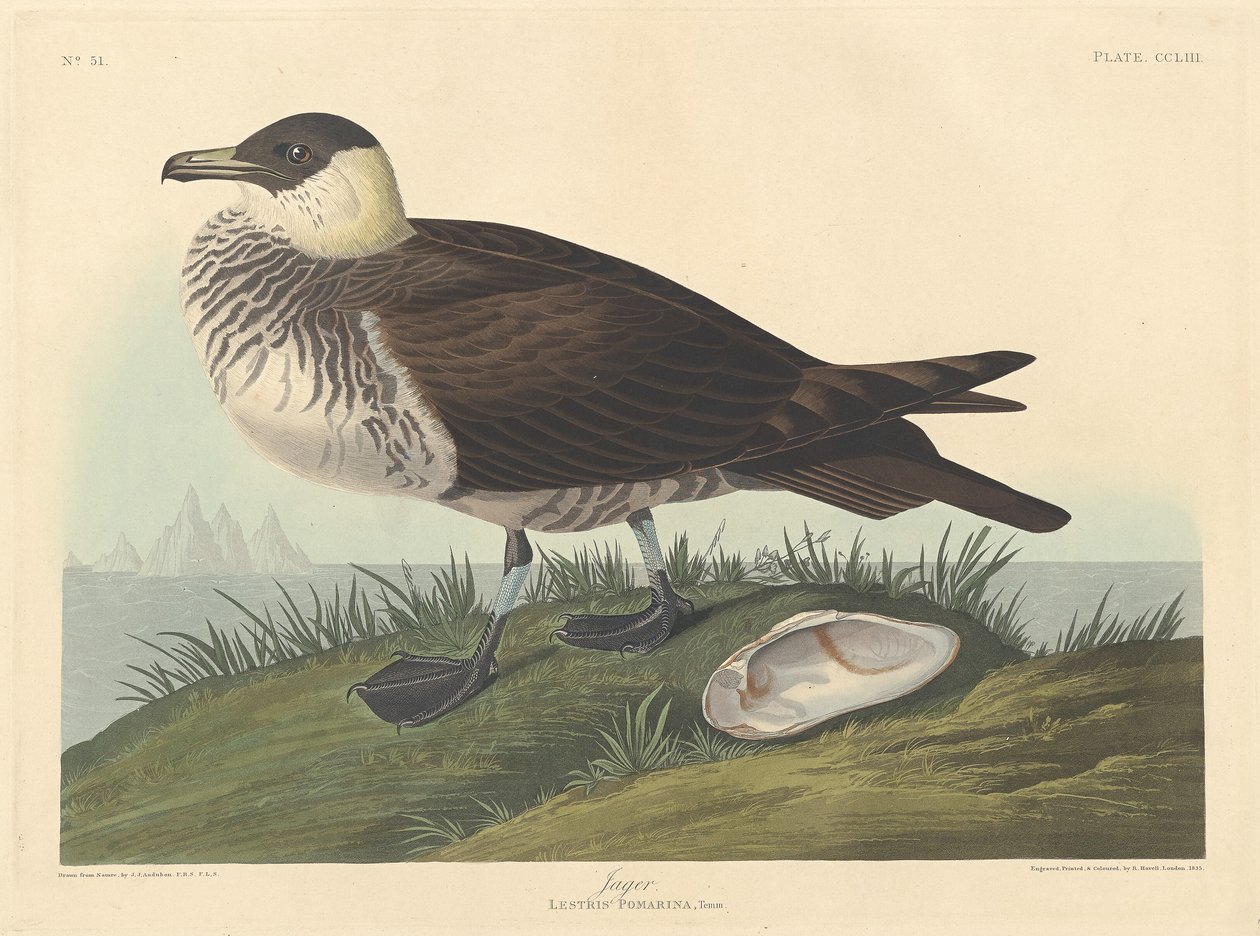 Jager, 1835. av Robert Havell