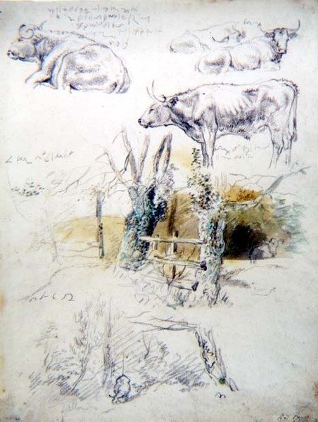 Boskapsstudier av Robert Hills