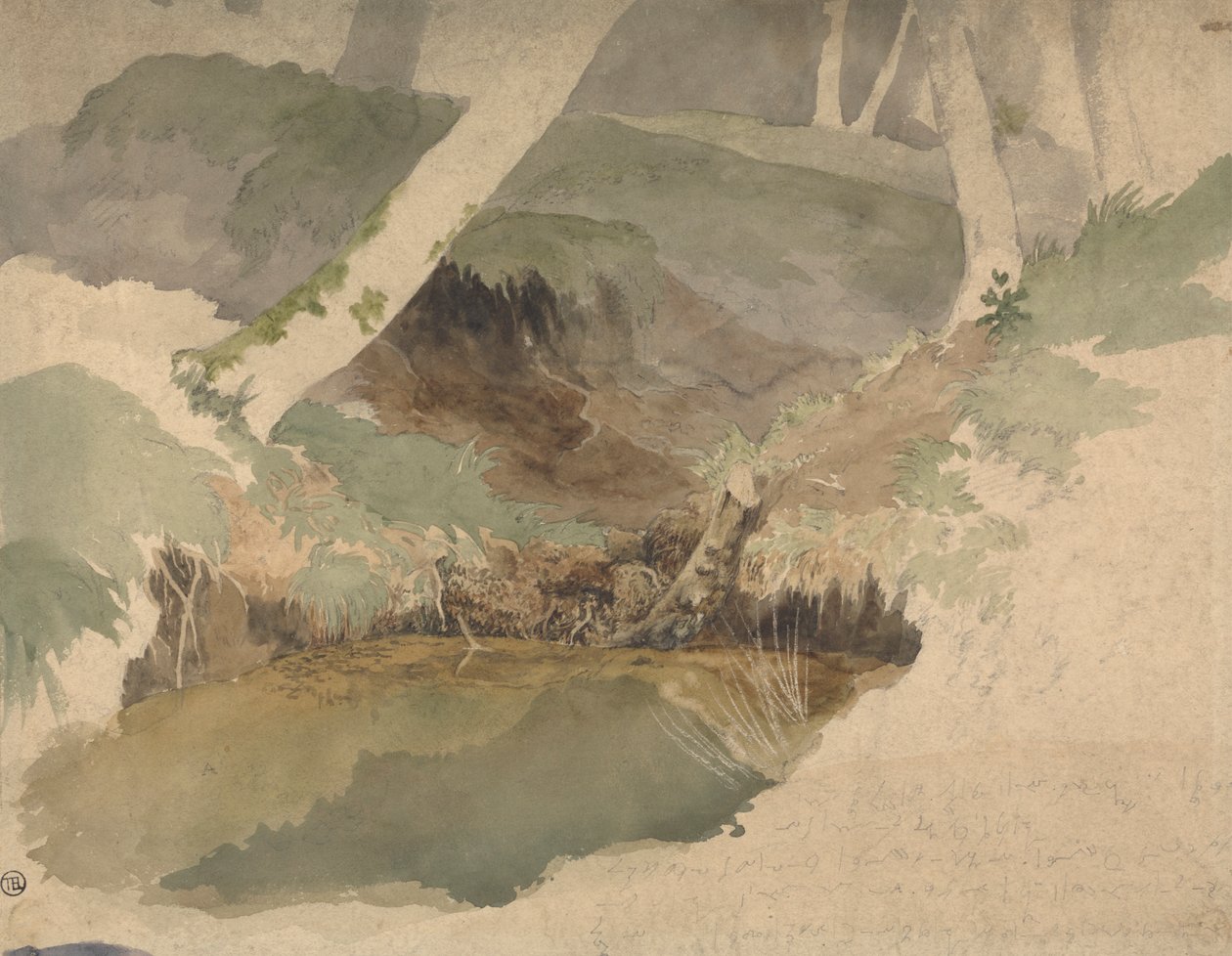 Skogspool av Robert Hills
