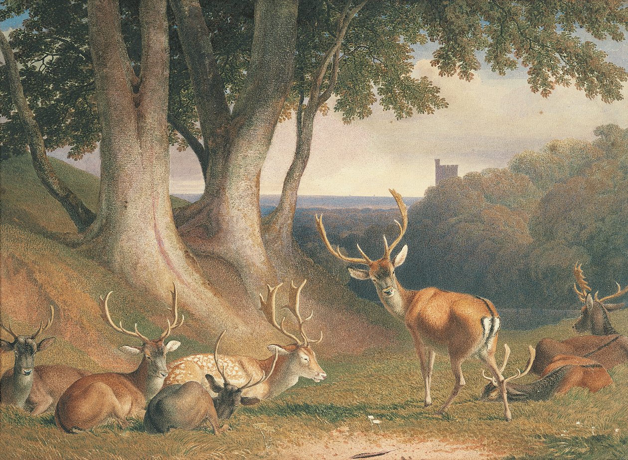 Landskap med hjortar, ca 1800 (blyerts och akvarell på papper) av Robert Hills