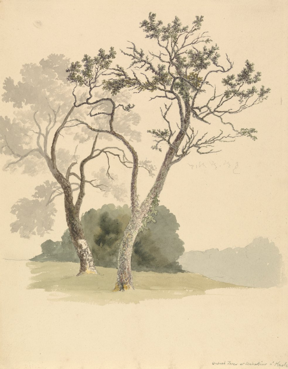 Orchard Trees vid Under River nära Knole av Robert Hills