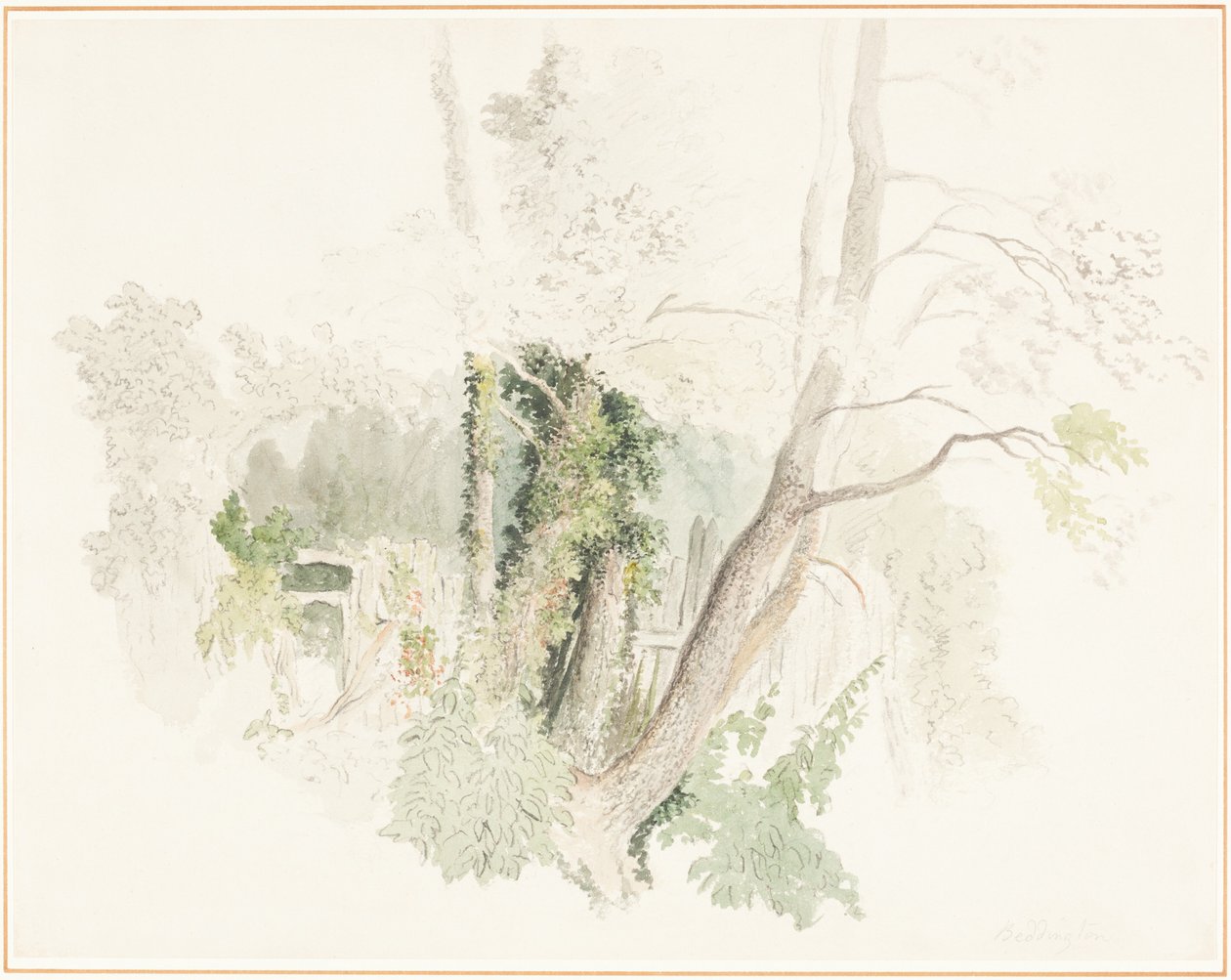 Träd i Beddington av Robert Hills