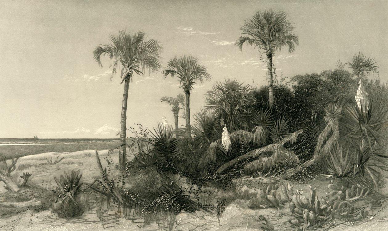 "På Floridas kust", 1872. av Robert Hinshelwood