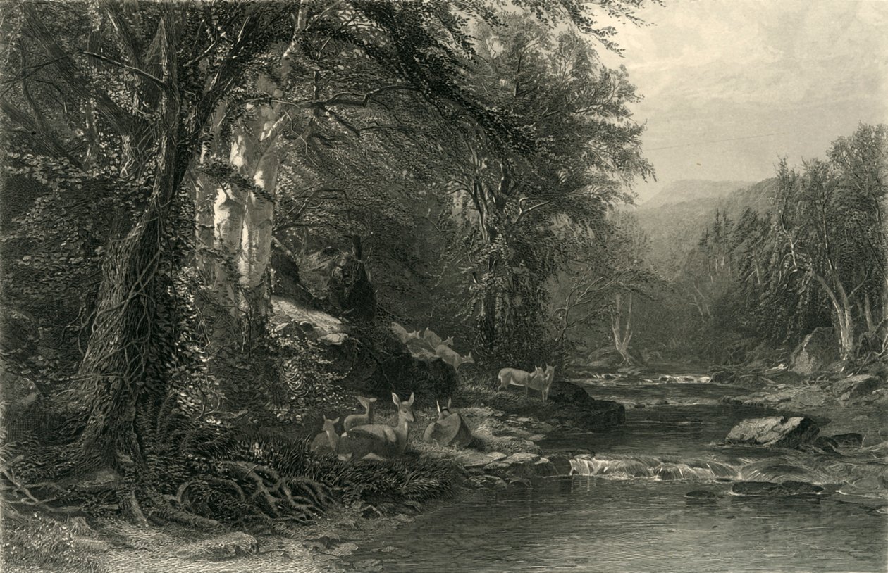"The Adirondack Woods", 1874. av Robert Hinshelwood
