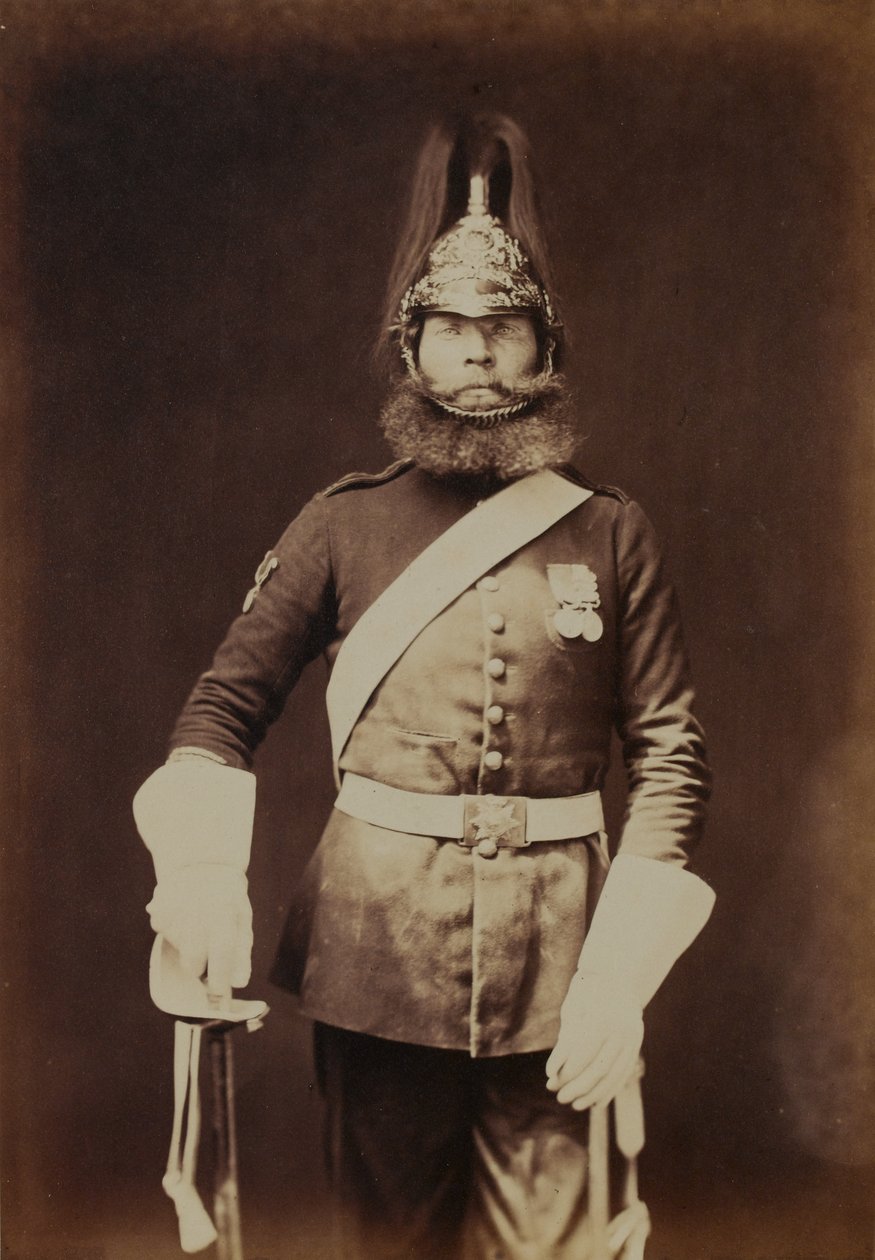 Rough-Rider Macnamara, 5:e (prinsessan Charlotte av Wales) Dragoon Guards av Robert Howlett