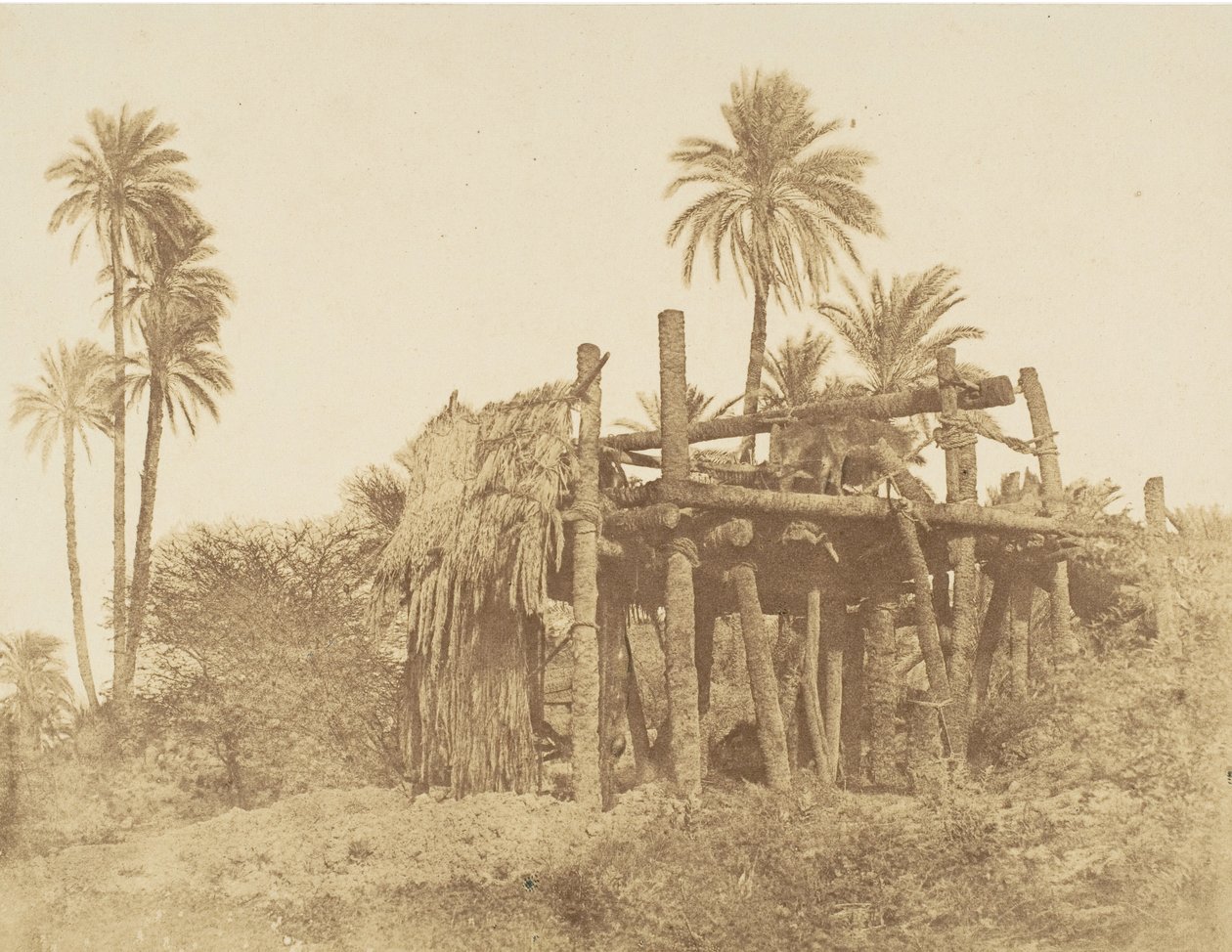 Nubian Sakkieh, eller vattenhjul, ca. 1856. av Robert Murray.