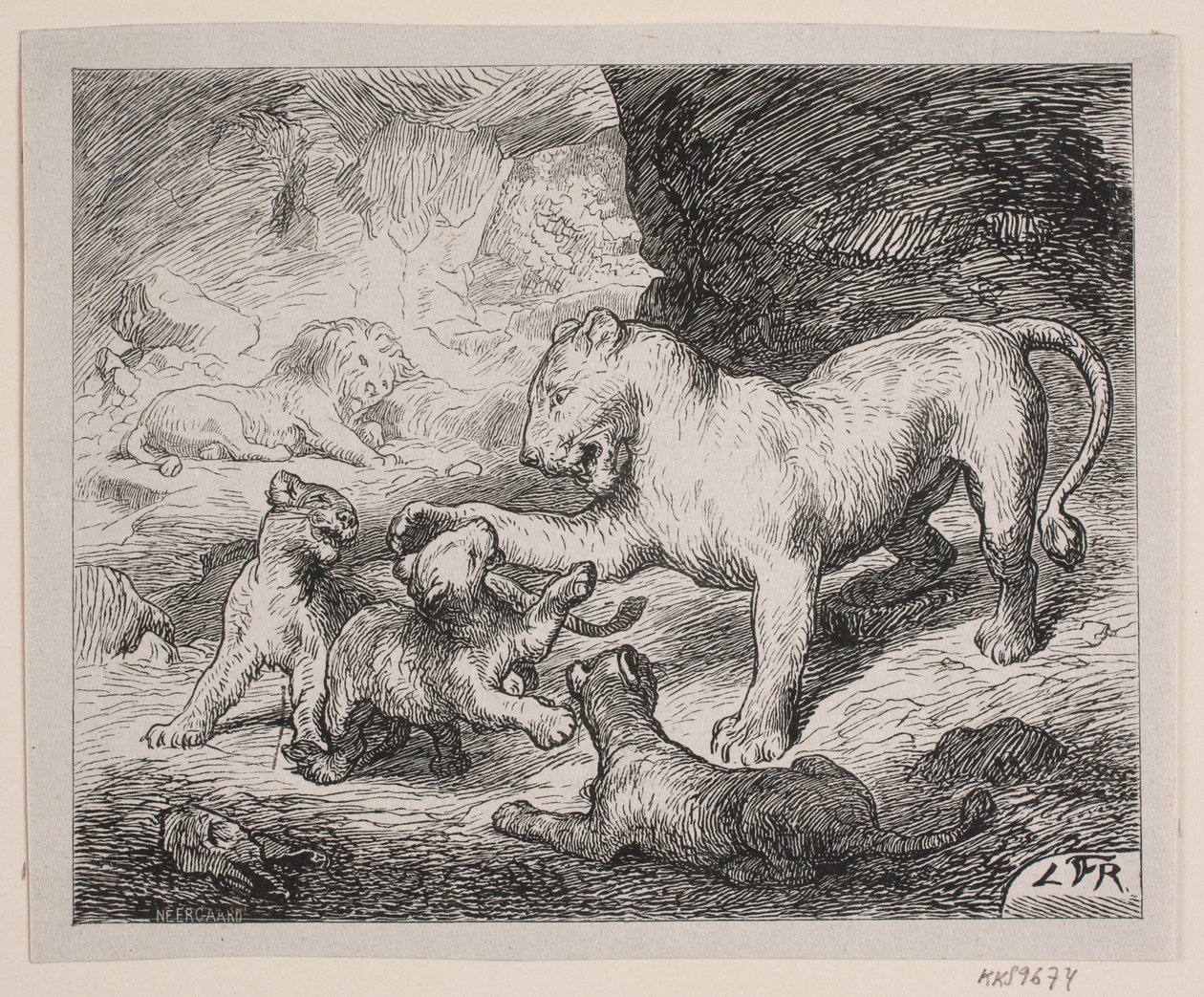 Lejonungarna. Illustration för Chr. Winthers "Bildbok för stora och små" av Robert Neergaard