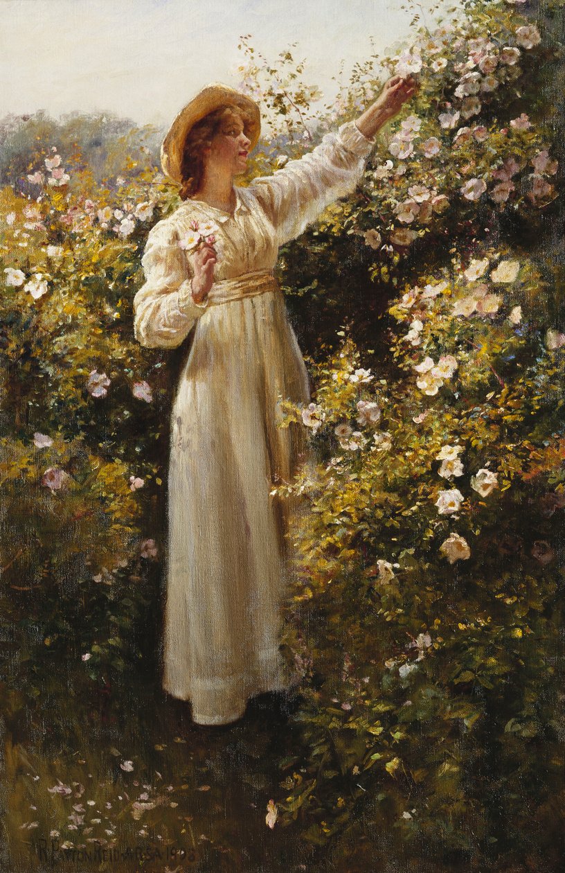 Vild ros av Robert Payton Reid