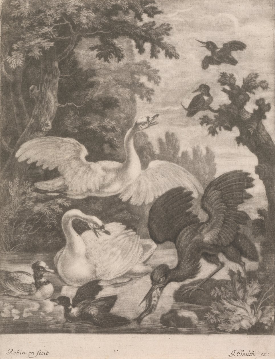 Sjöfågel av Robert Robinson
