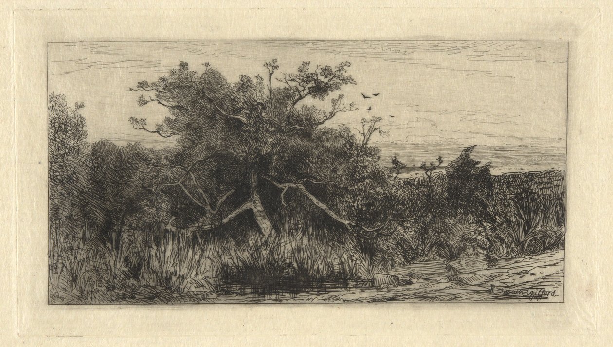 Knotiga träd av Robert Swain Gifford