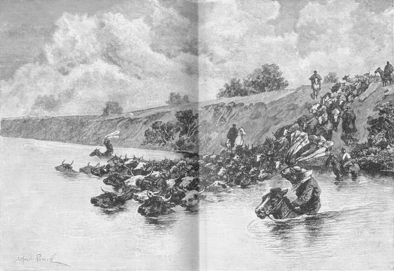 Boskapsbesättning som korsar Uruguay, c1885, 1890 av Robert Taylor Pritchett