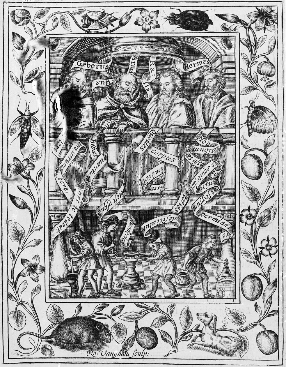Stora alkemister inspirerar till arbete i laboratoriet från Theatrum Chemicum Britannicum, 1652 av Robert Vaughan