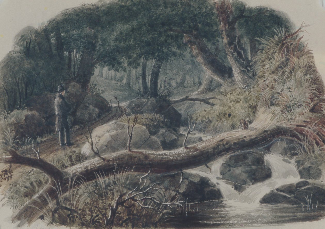 Ingången till en skog, 1836. av Robert Walter Weir