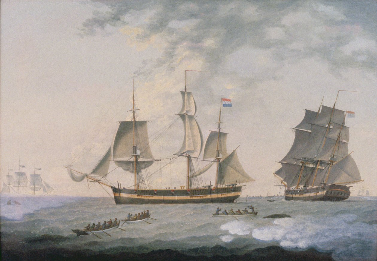 Valfångst i Arktis av Robert Willoughby