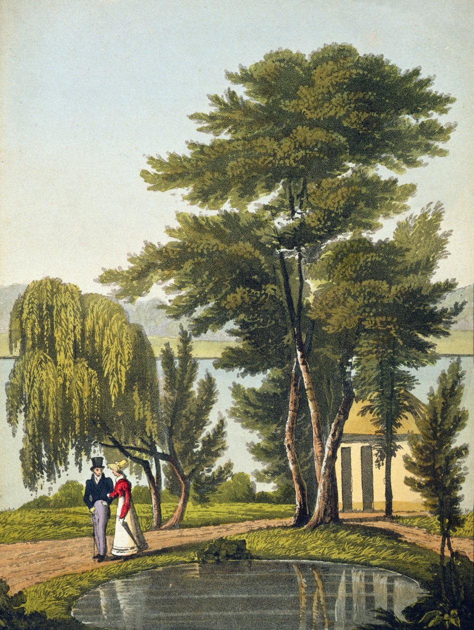 Clifton, från 