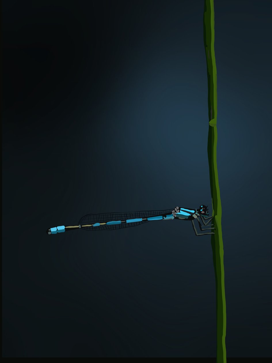 Damselfly, 2022 (digital) av Roberta Murray
