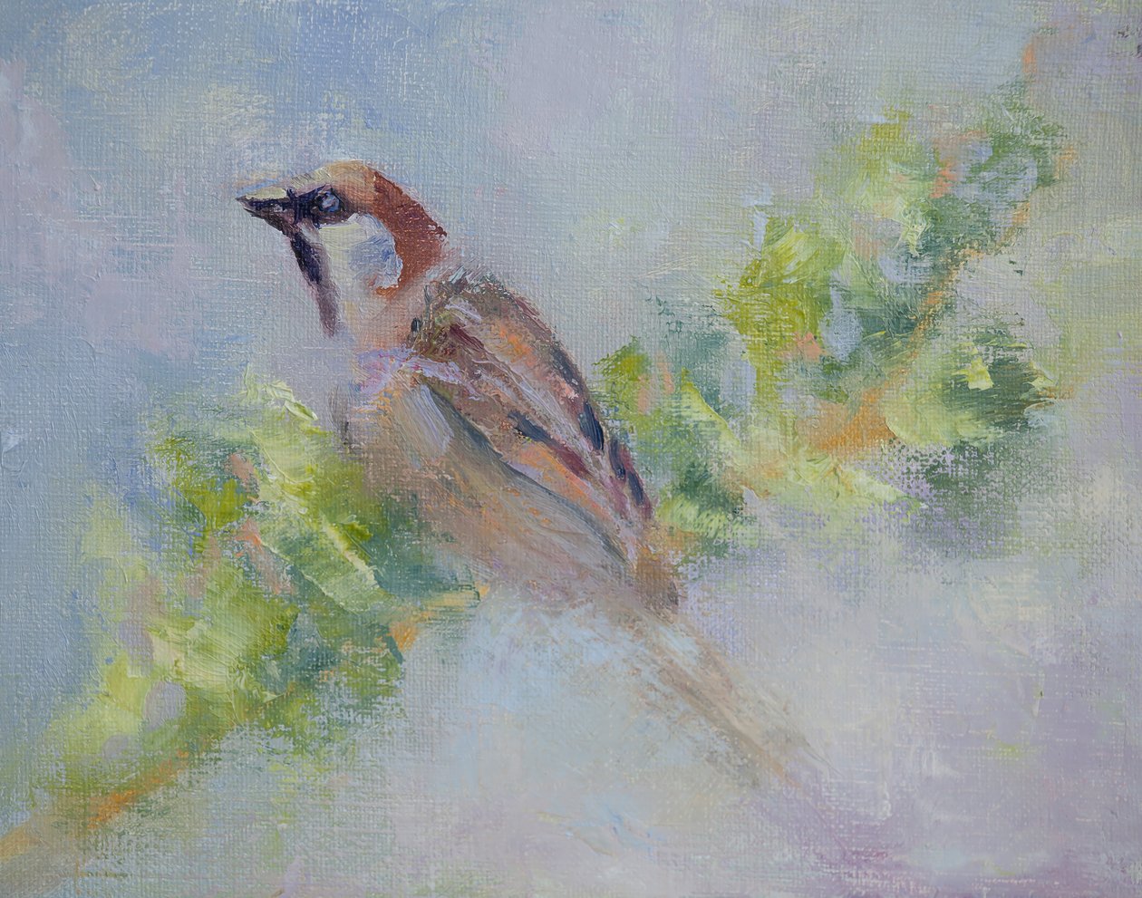 P. Domesticus, 2014 (olja på duk) av Roberta Murray