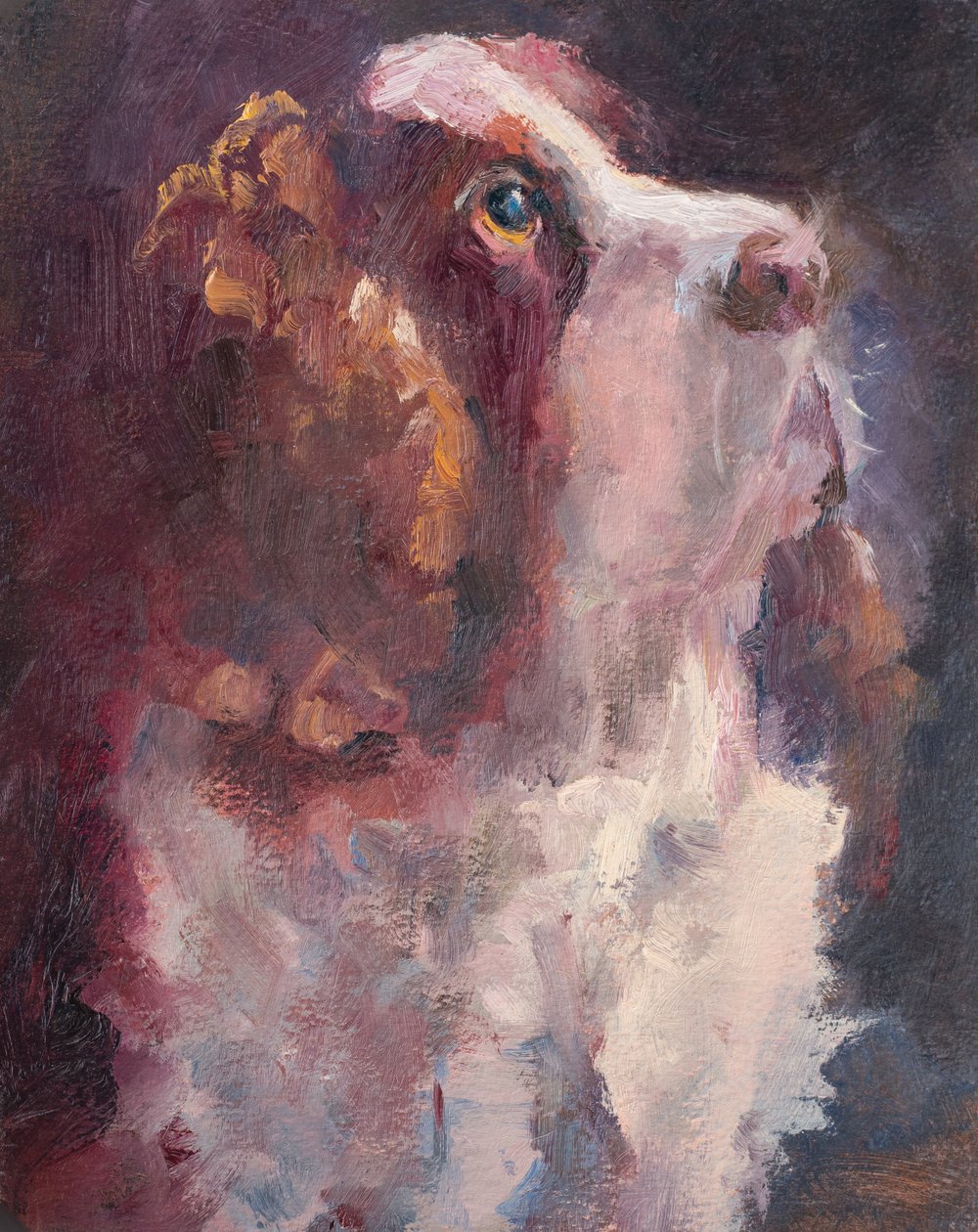 Romeo, 2015 (olja på pannå) av Roberta Murray