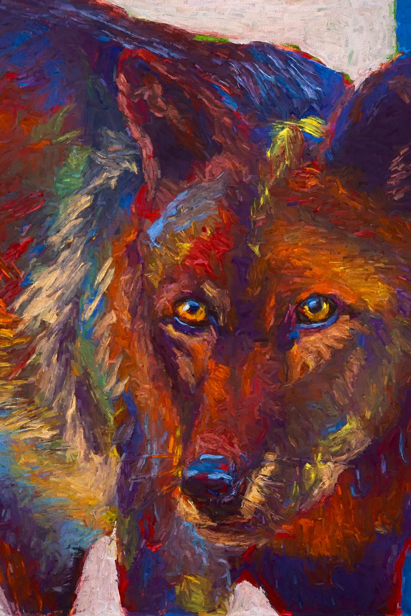 Stare Down, 2019 (olja på pannå) av Roberta Murray